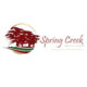 Spring Creek Baptist Church