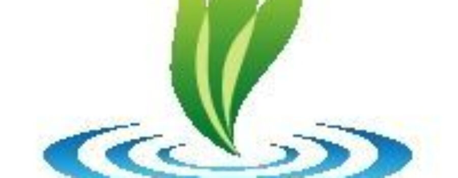 Total Peace Massage logo