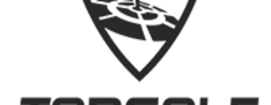Top Golf logo